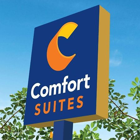 Comfort Suites Кловис Екстериор снимка